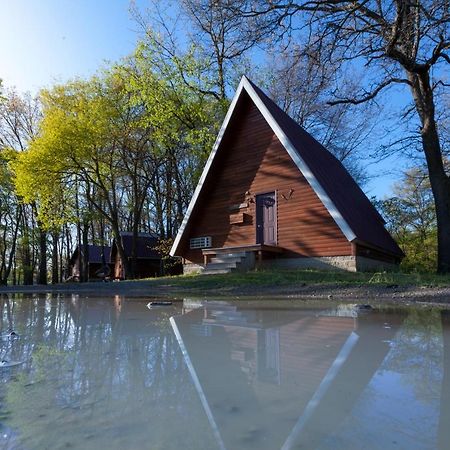 Отель Serenity Springs - Michigan City Springfield Экстерьер фото