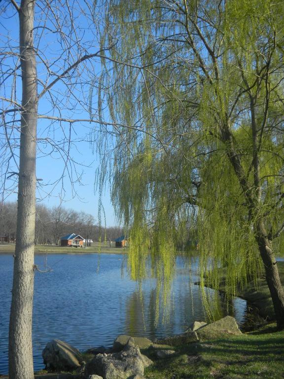 Отель Serenity Springs - Michigan City Springfield Экстерьер фото