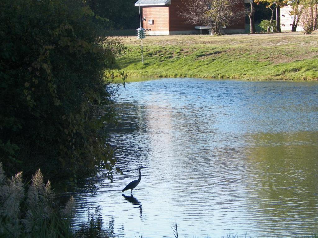 Отель Serenity Springs - Michigan City Springfield Экстерьер фото