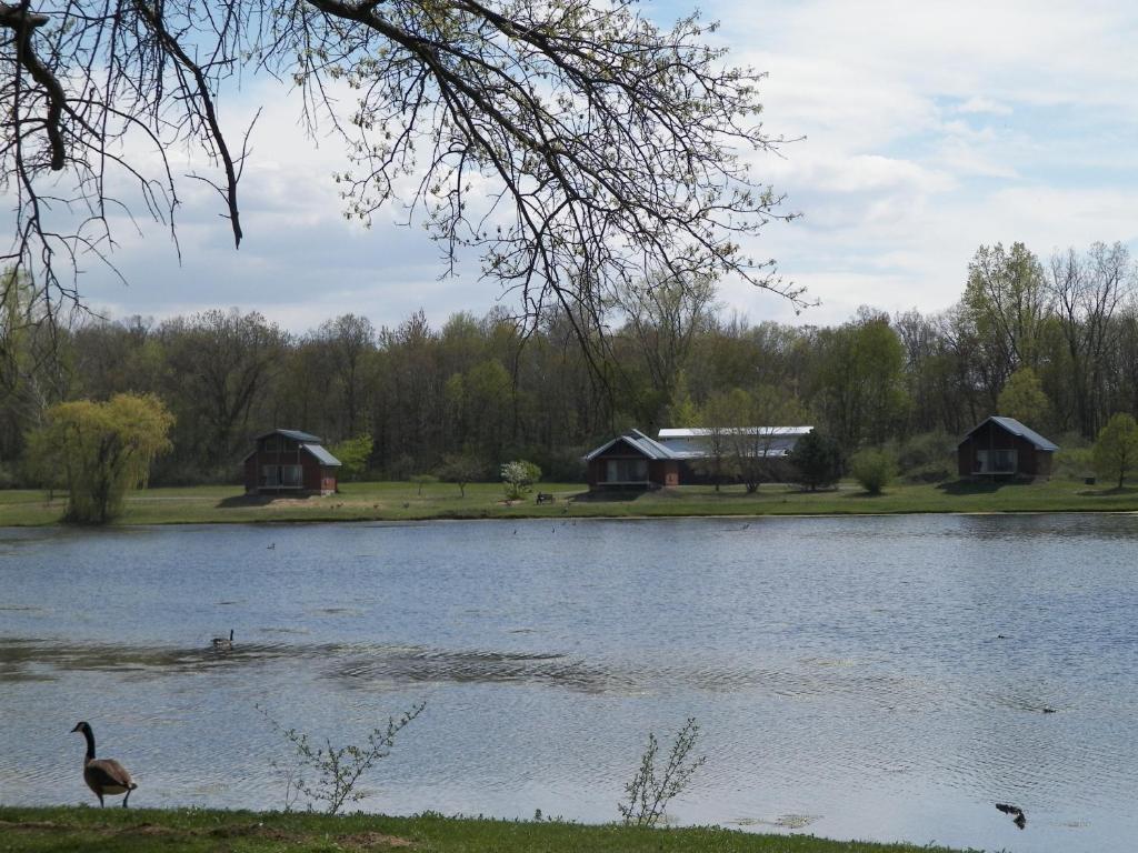 Отель Serenity Springs - Michigan City Springfield Экстерьер фото