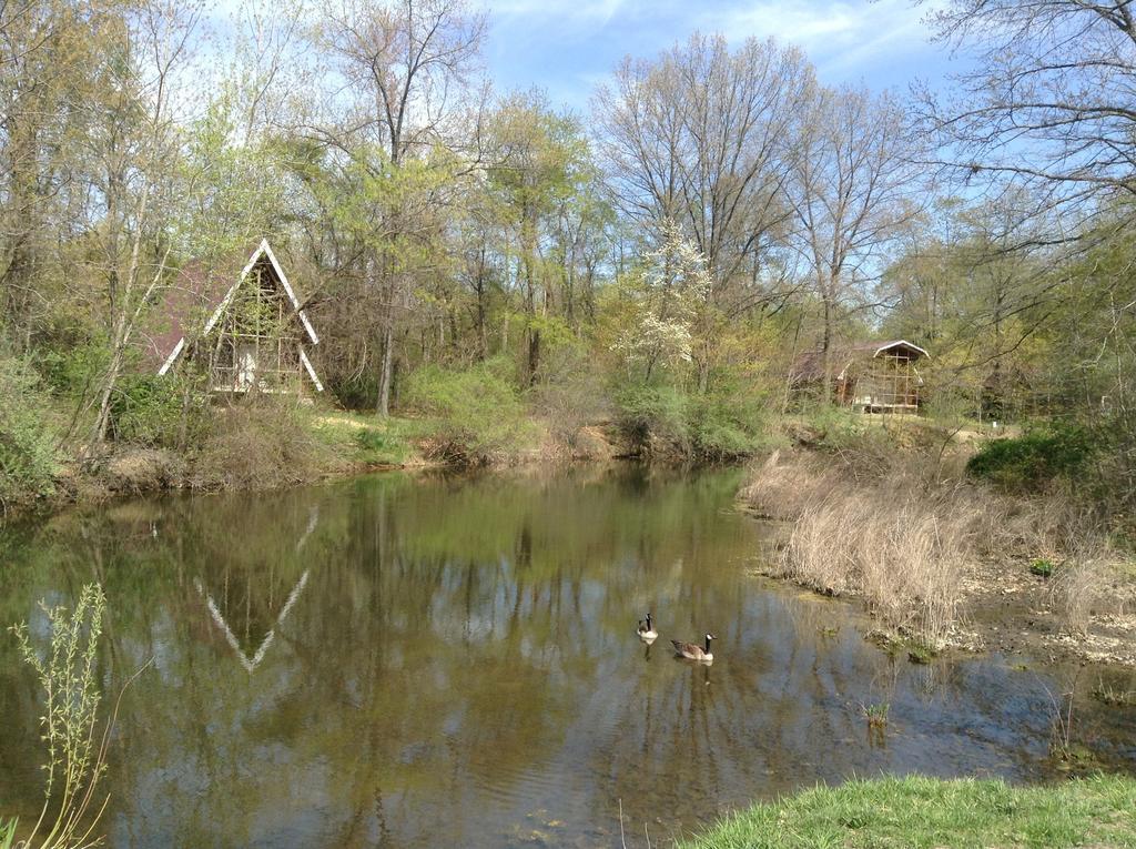 Отель Serenity Springs - Michigan City Springfield Экстерьер фото