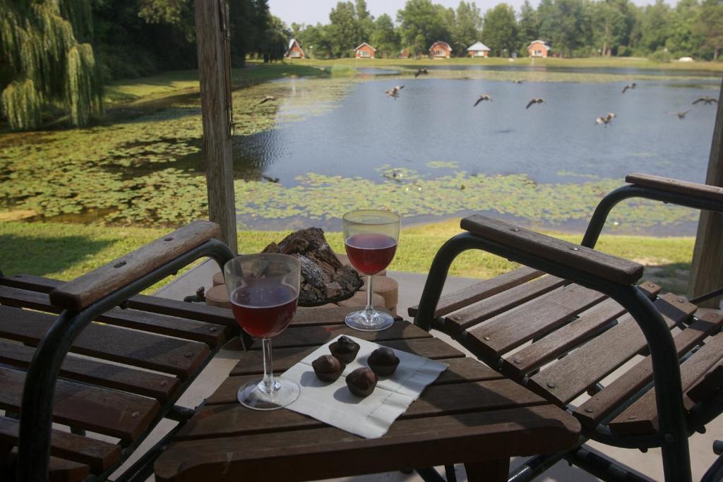 Отель Serenity Springs - Michigan City Springfield Экстерьер фото