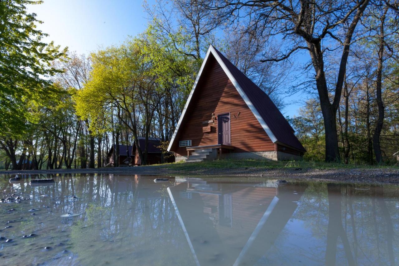 Отель Serenity Springs - Michigan City Springfield Экстерьер фото